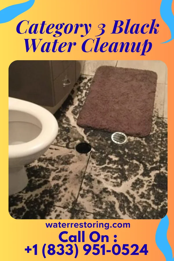 Category 3 Black Water Cleanup in Palm River-Clair Mel, FL